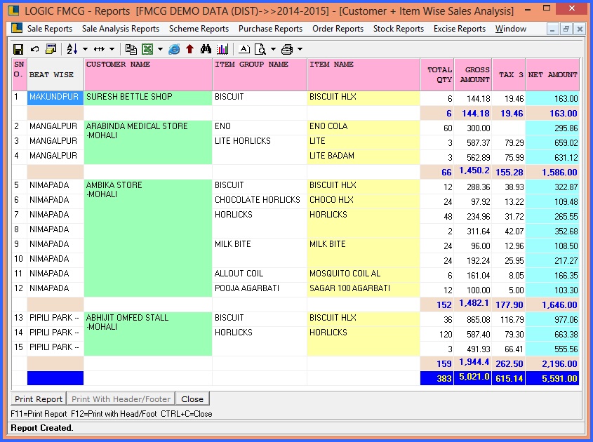 fmcg beat wise customer sales